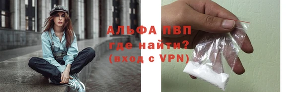 стафф Алексин