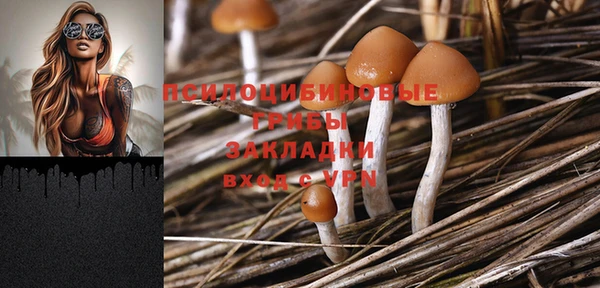бутират Алзамай