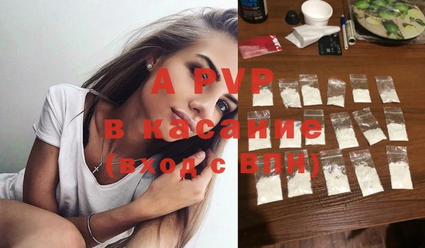 стафф Алексин